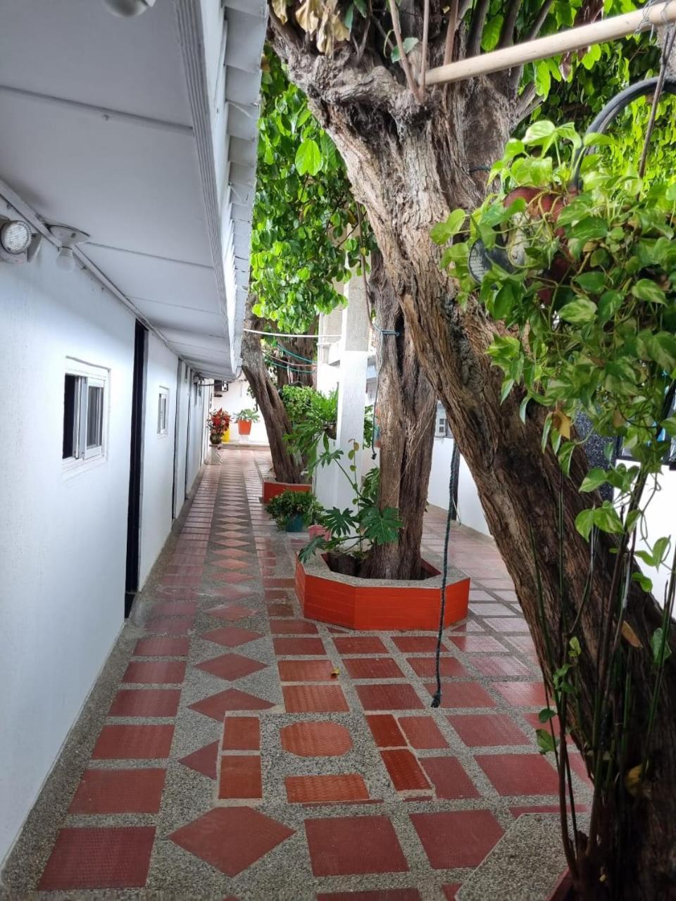 Hotel Mayte Fonseca Exterior photo